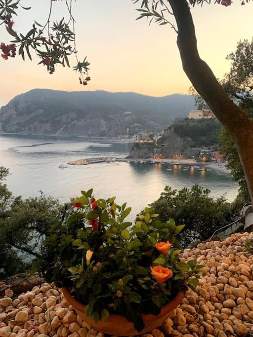 Historic Downtown Home By The Sea With King Bed Monterosso al Mare Exterior foto